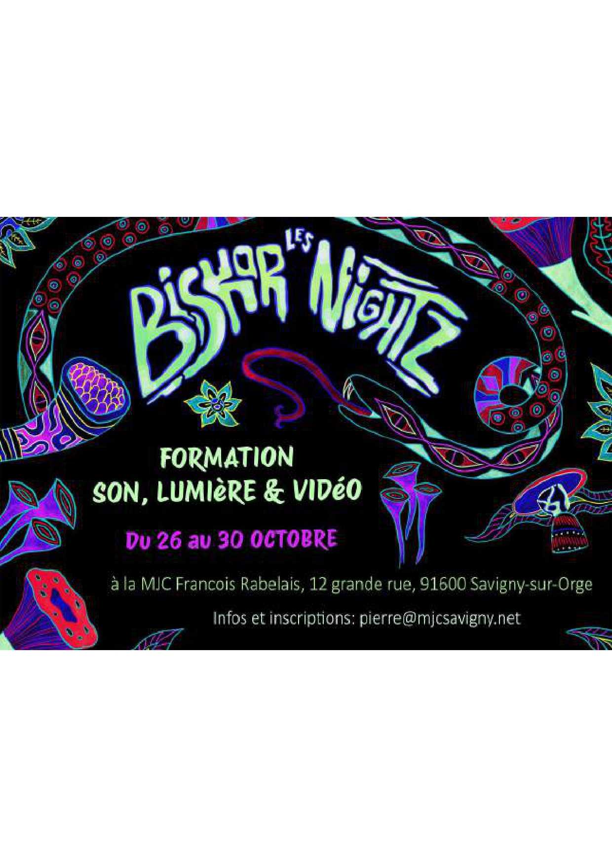 Les BiskorNightZ : Formation son, lumière et vidéo